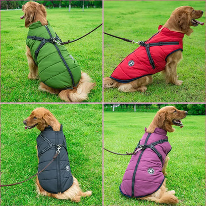 Dog Winter Jacket