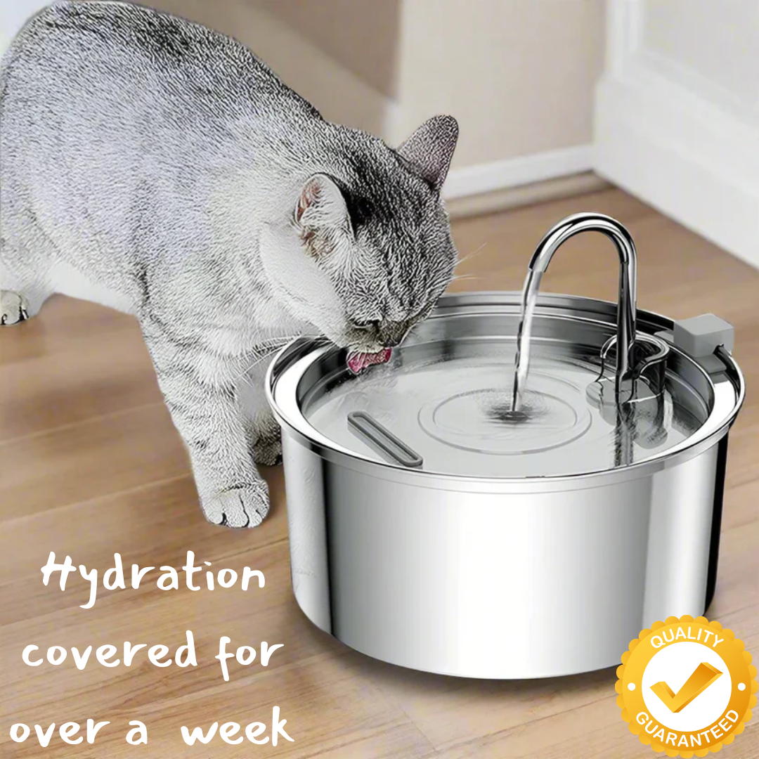 Stainless Steel Pet Water Fountain